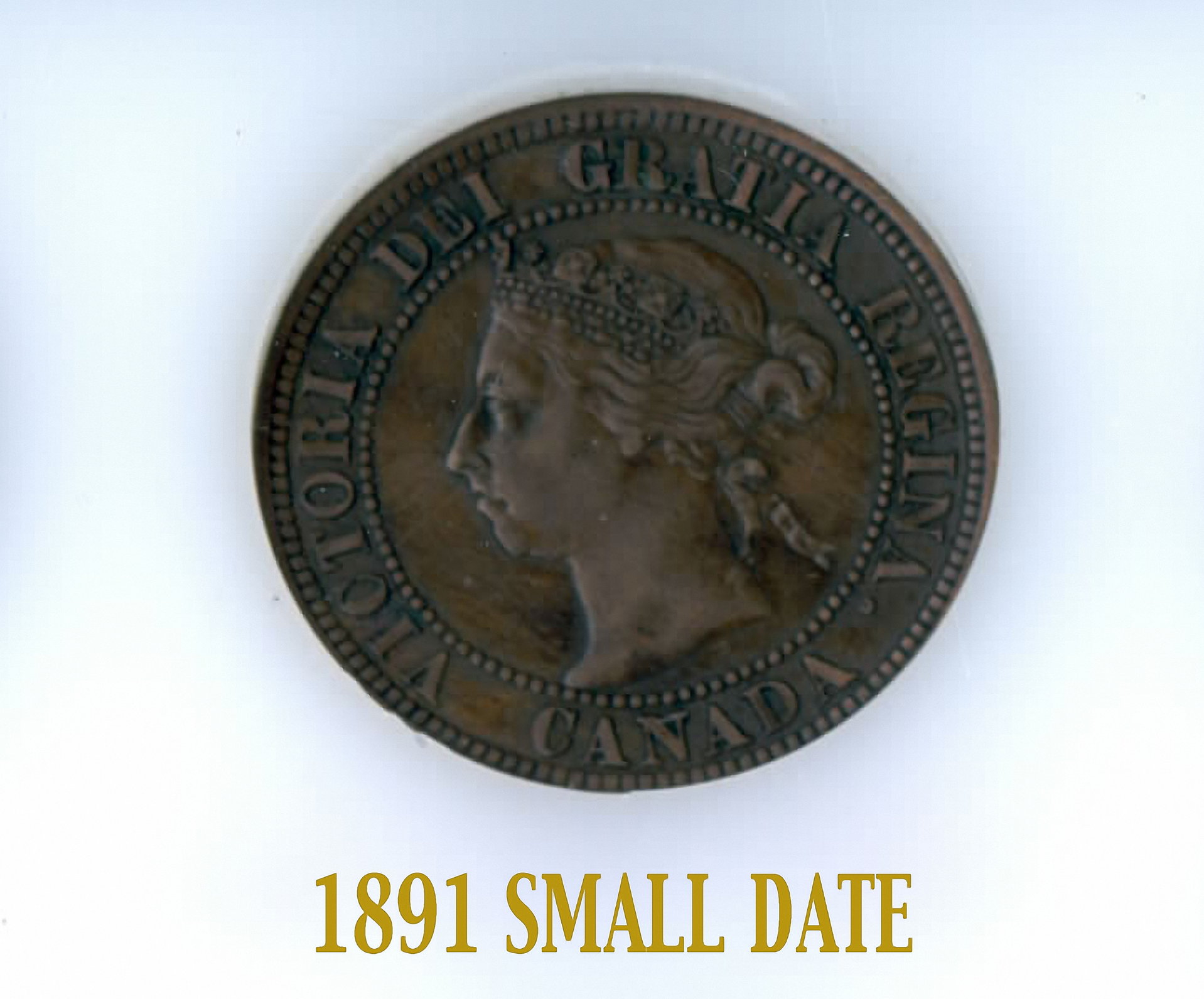 X CANADIAN 1891 SD OBV (resized).jpg