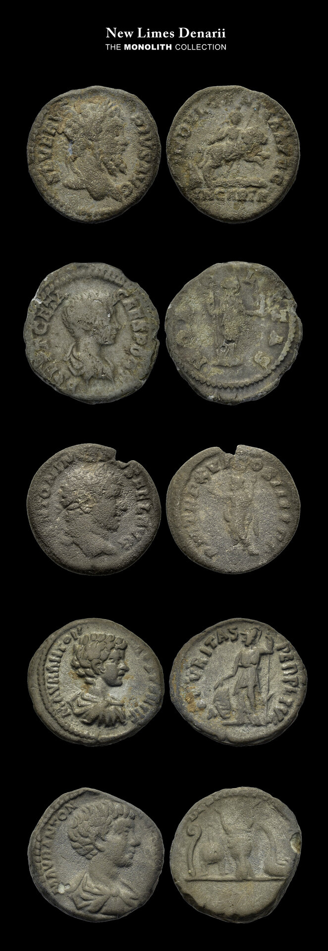 x-New Limes Denarius.jpg