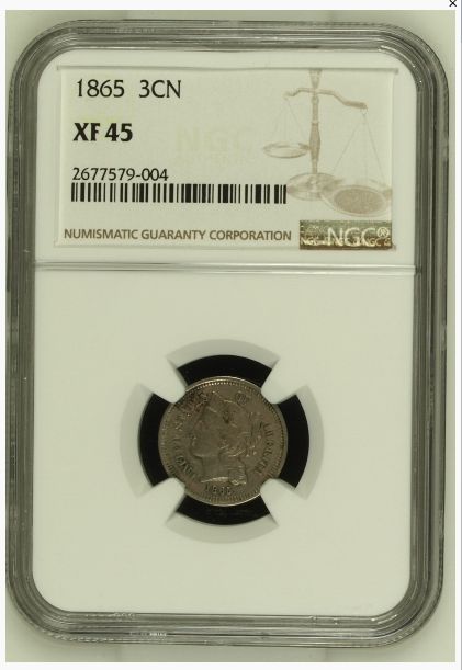 XF45.JPG
