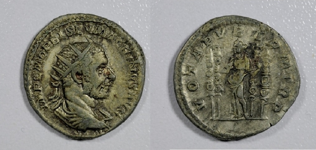 Xmacrinus1$.JPG