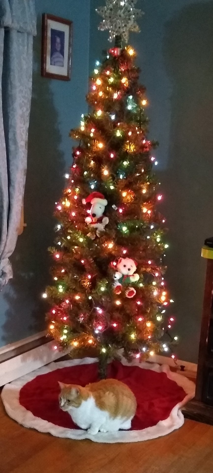 Xmas2023Daxter1.jpg
