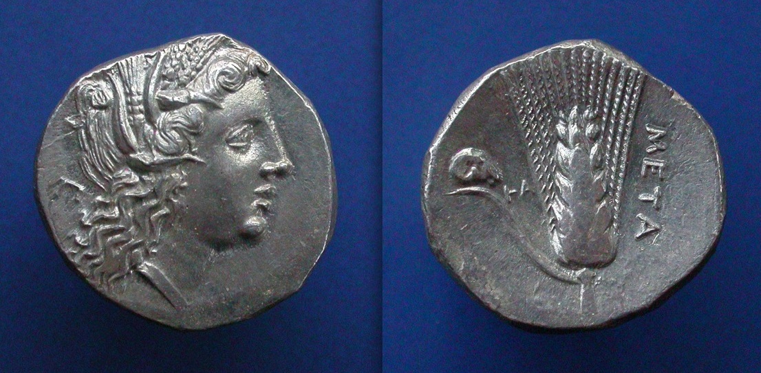 Xmetapontum18.jpeg