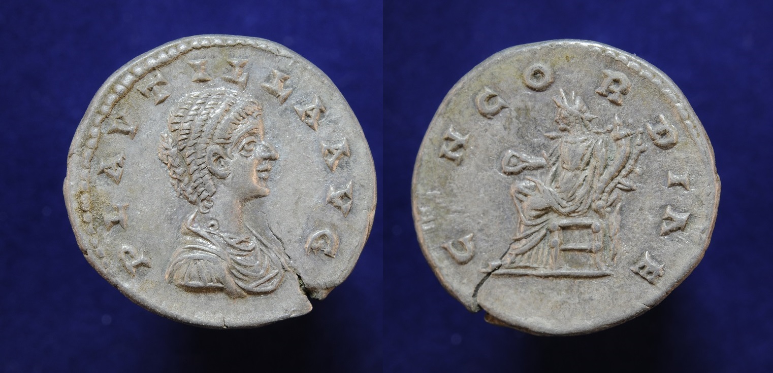 Xplautilla13.JPG