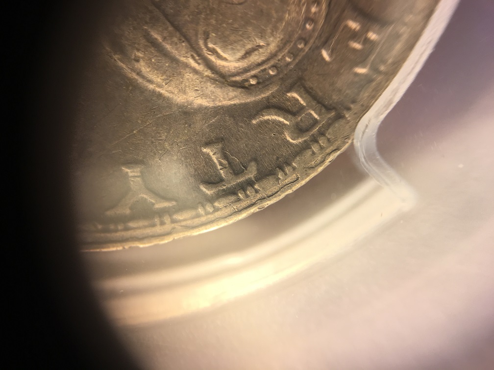 XPRIMARY Upper right fin folded over.jpg
