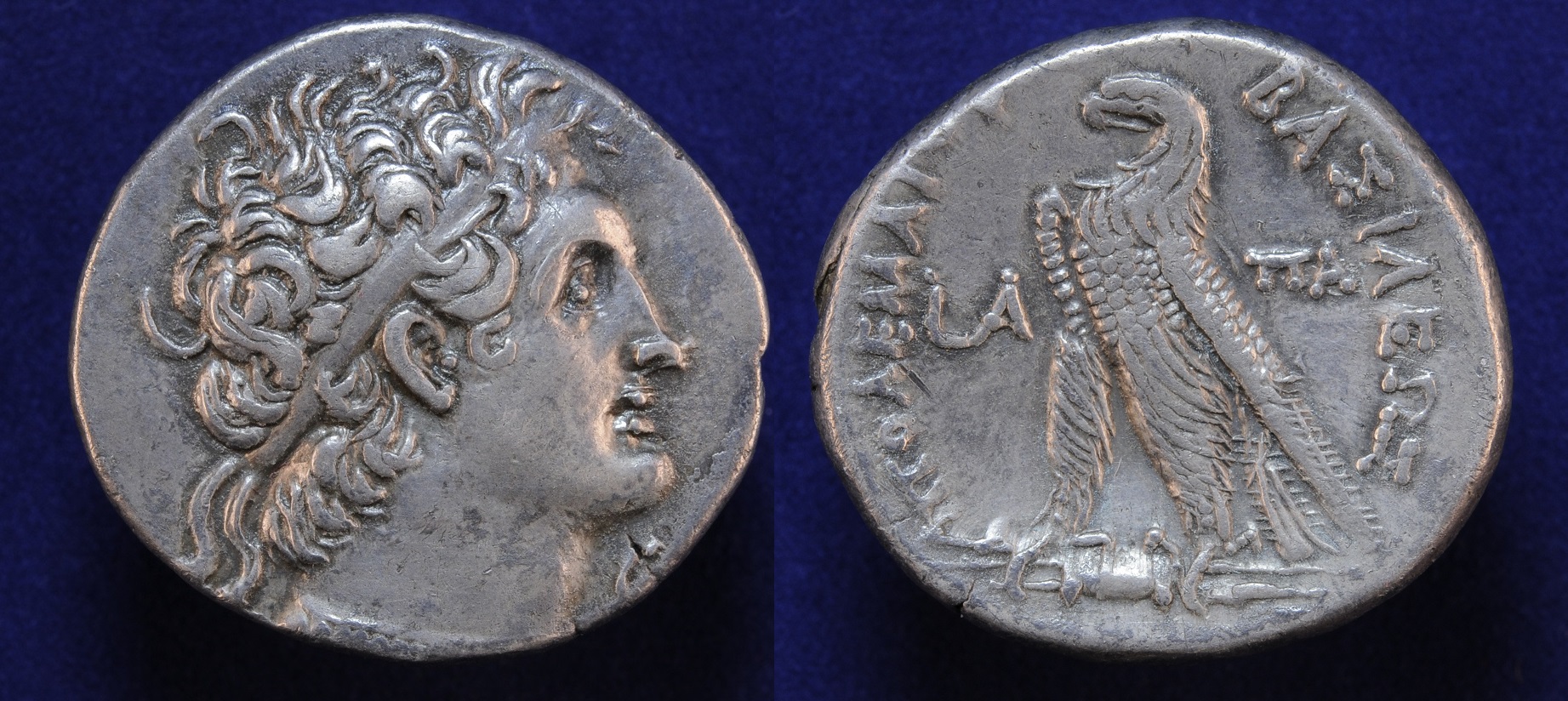 XSv1658-2ptIX.JPG