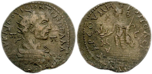 Xtarsustrebgallus1.jpg