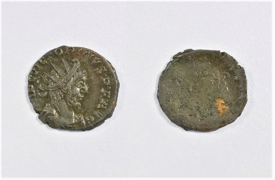 Xvictorinus27 (2).jpg