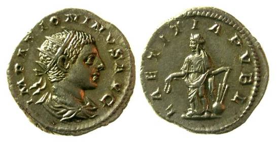 Y00520.jpg