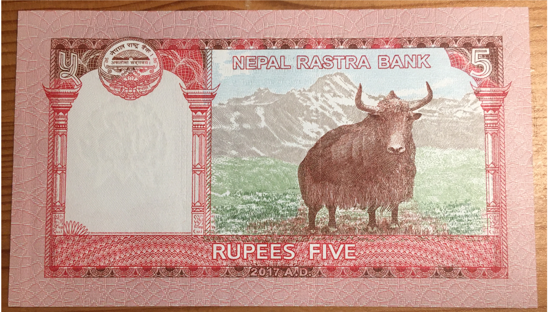 Yak202.png
