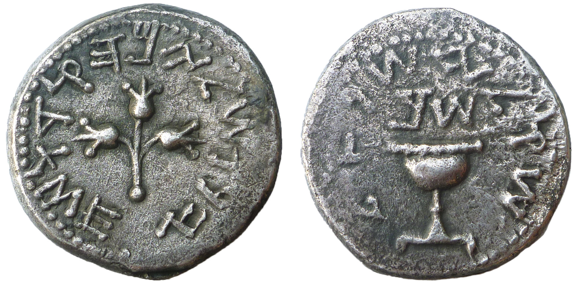 Year 2 Shekel.jpg