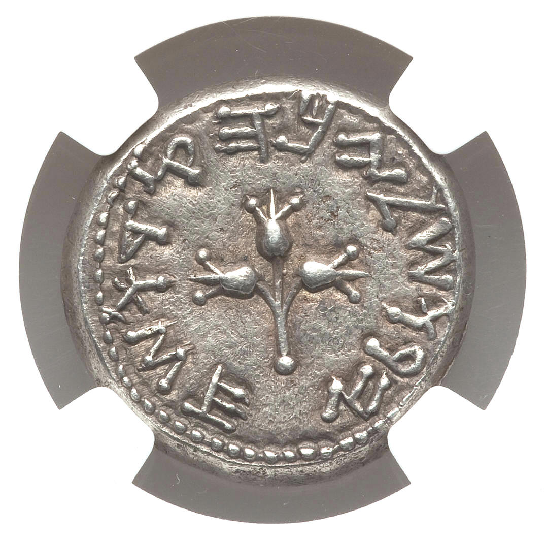 Year 2 Shekel, rev..jpg