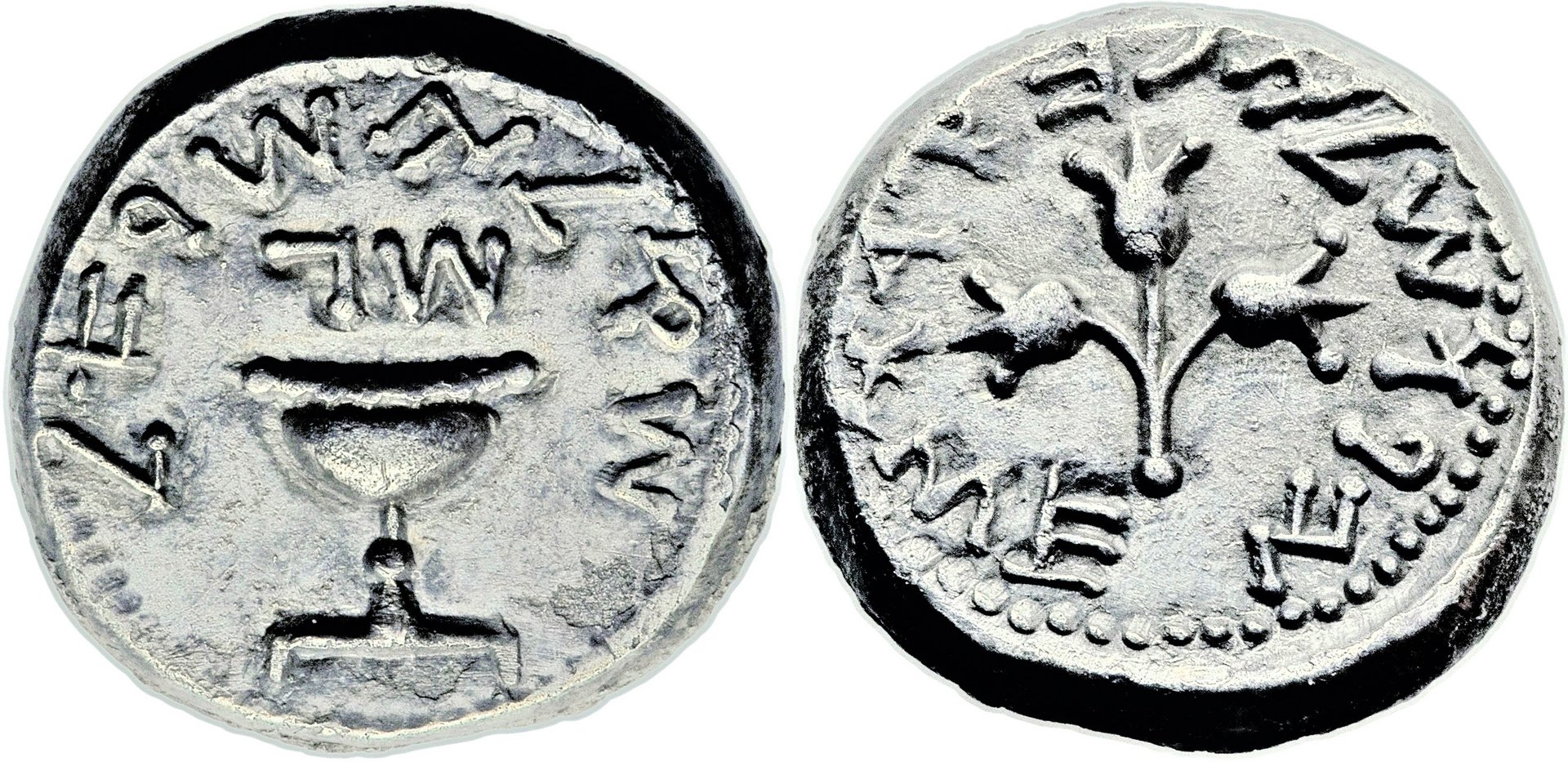 Year 3 Jewish Shekel.jpg