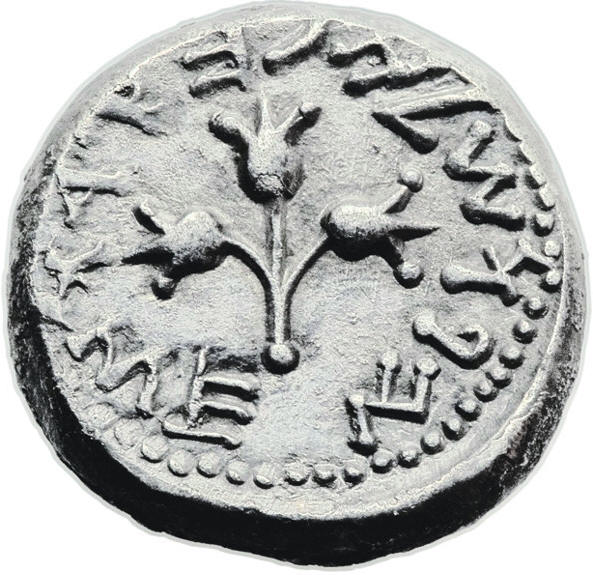 Year 3 Shekel, 13.59 gm, rev..jpg