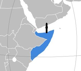 Yemen.JPG