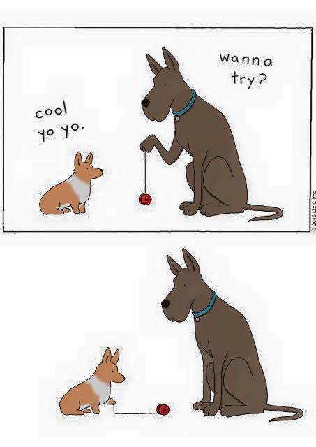 yo-yo.jpg