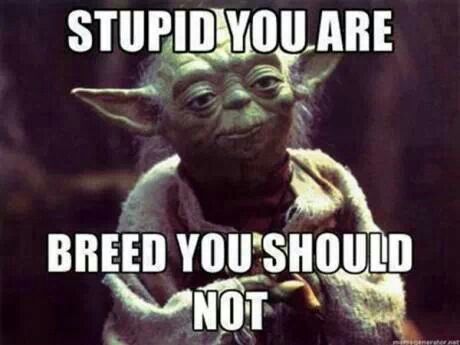 Yoda-meme-1.jpg