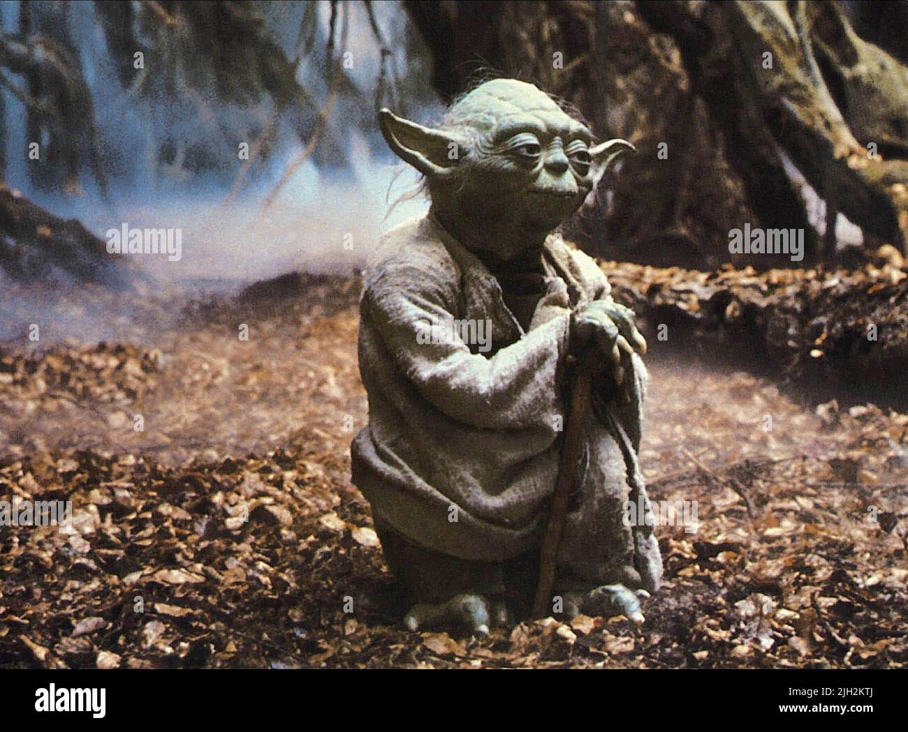 yoda-star-wars-episode-v-the-empire-strikes-back-1980-2JH2KTJ.jpg