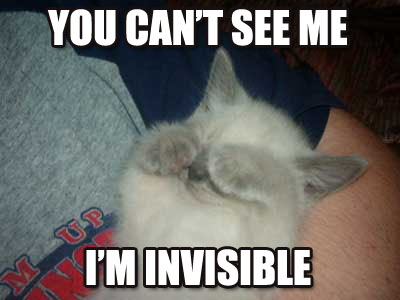 you-cant-see-me-cat-cats-kitten-kitty-pic-picture-funny-lolcat-cute-fun-lovely-photo-images.jpg