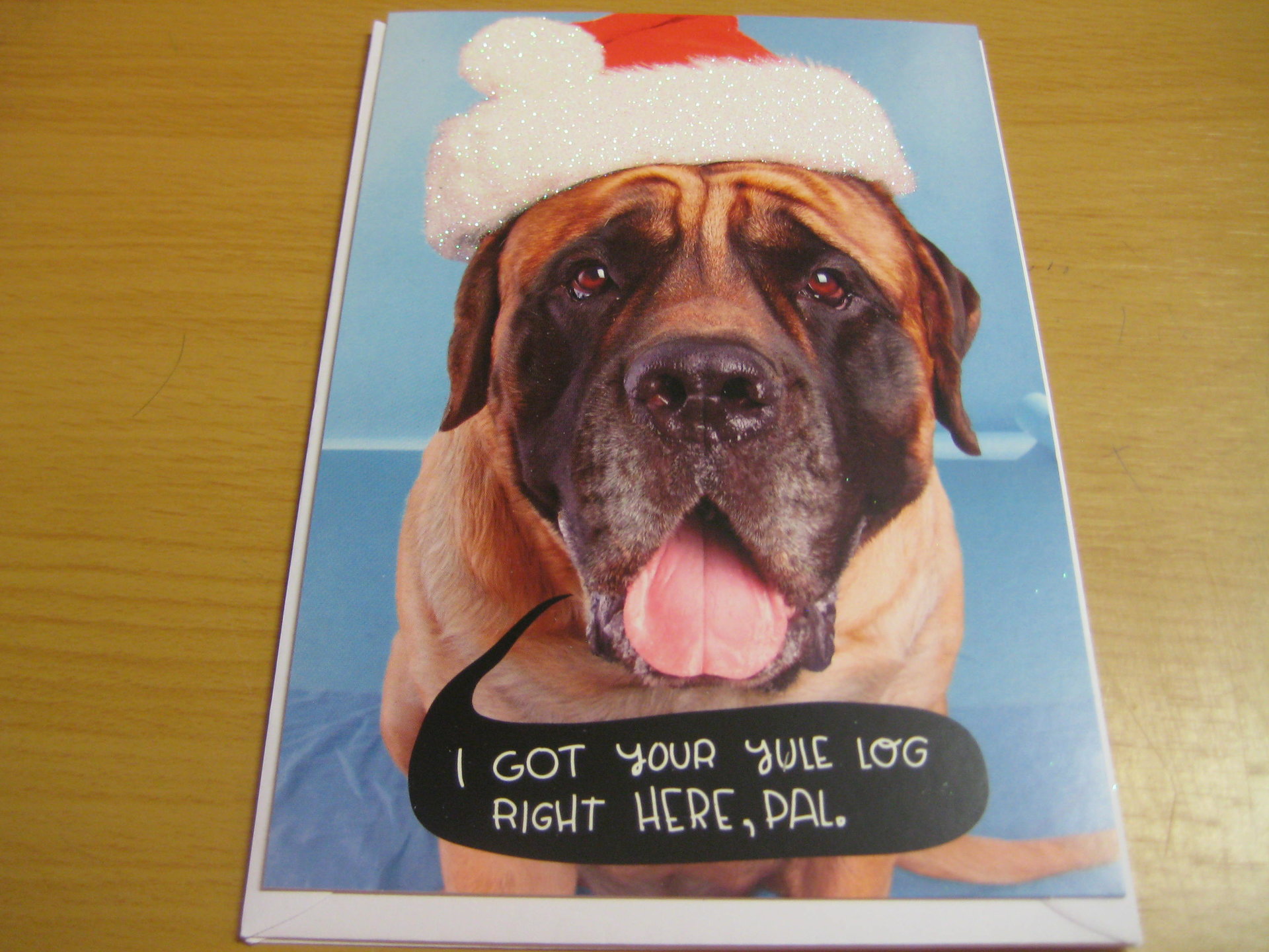 Yule log dog.jpg