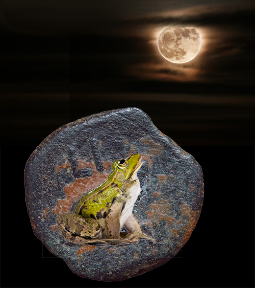 Z-AlexFrog-HowlingAtMoon.jpg