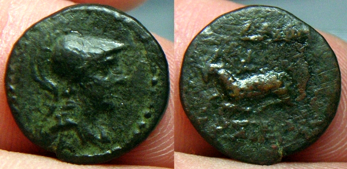 z22.jpg