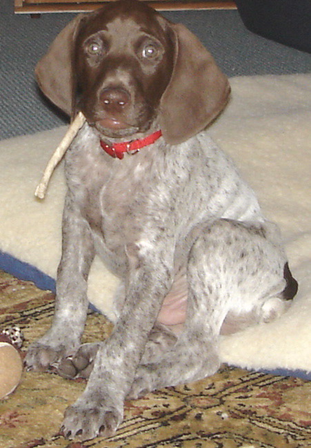 Zack, Can I have a light please? (6 weeks).jpg