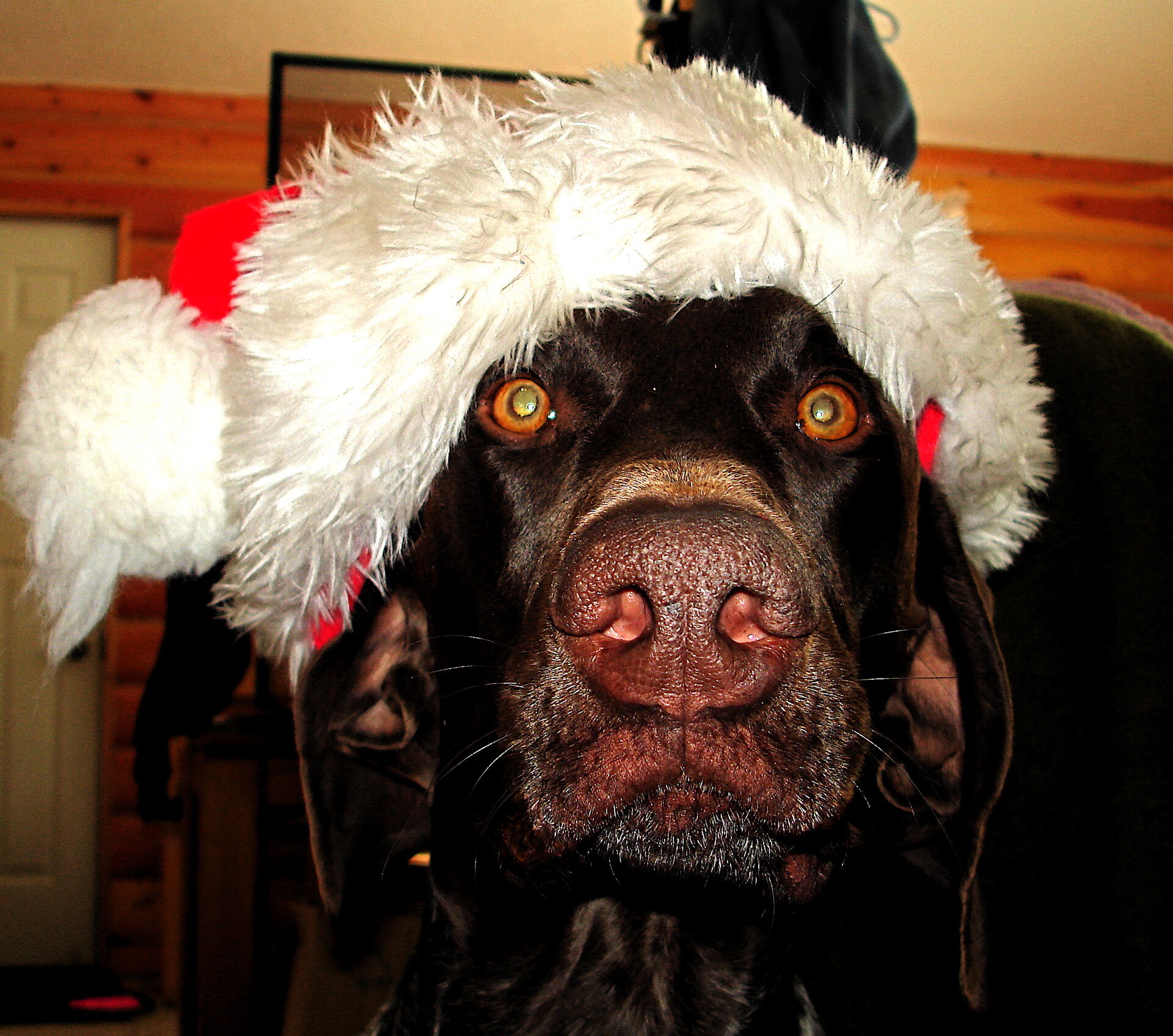 Zack, Christmas.jpg