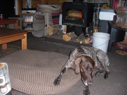Zack moved before I got picture.jpg
