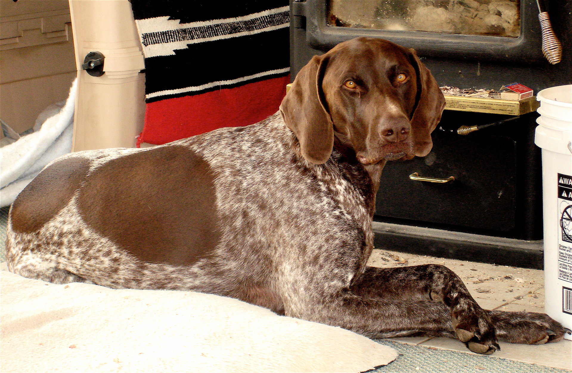 Zack, relaxing.jpg