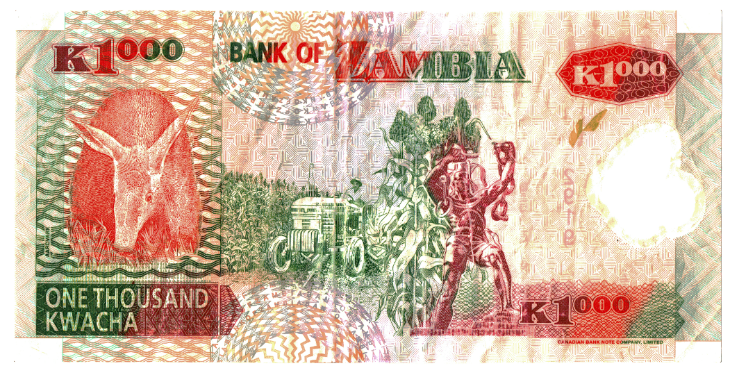 Zambia 1000 Kwacha Reverse_000195.png