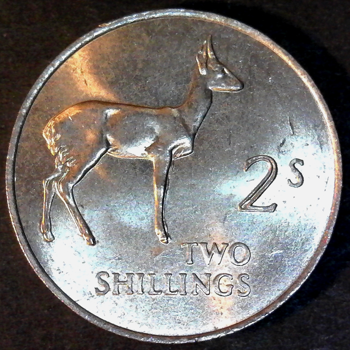 Zambia 2 Shillings 1964 obverse less 5.jpg
