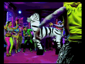 zeb.gif