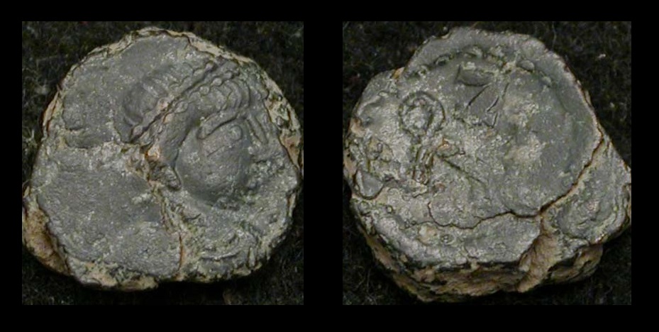 Zeno_seller_photos_obverse_and_reverse_1.jpg