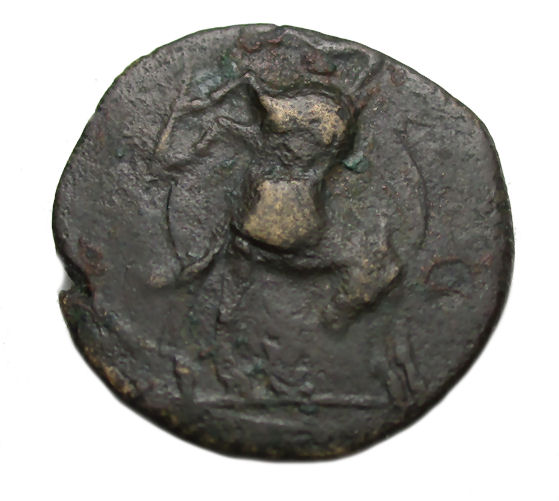 Zeugitania Male Head EB2.jpg