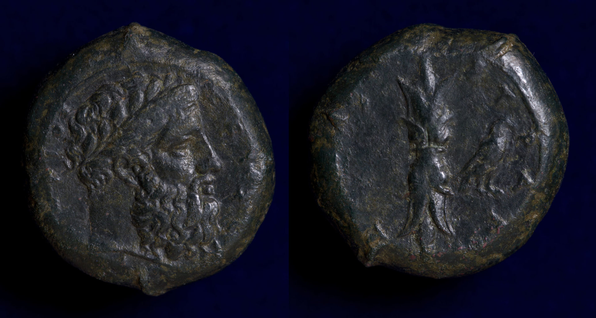 Zeus Sicily.jpg