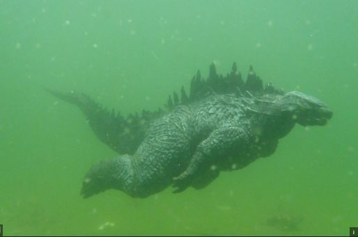 zilla2.JPG