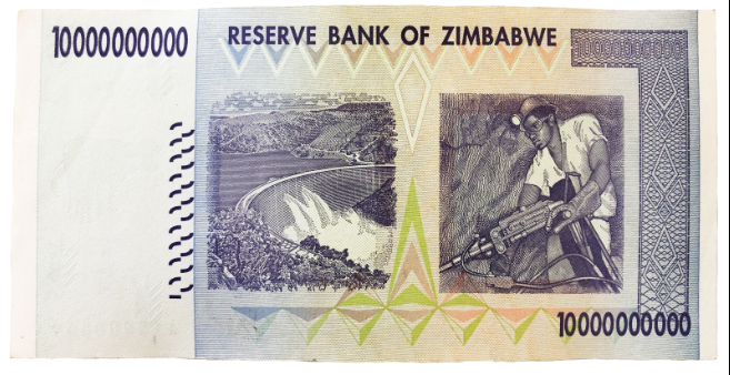 zim 1.PNG