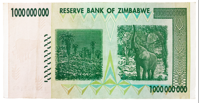 zim 2.PNG