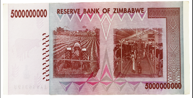 zim 3.PNG