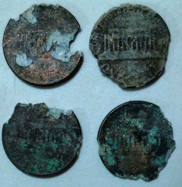 zinc rot.jpg