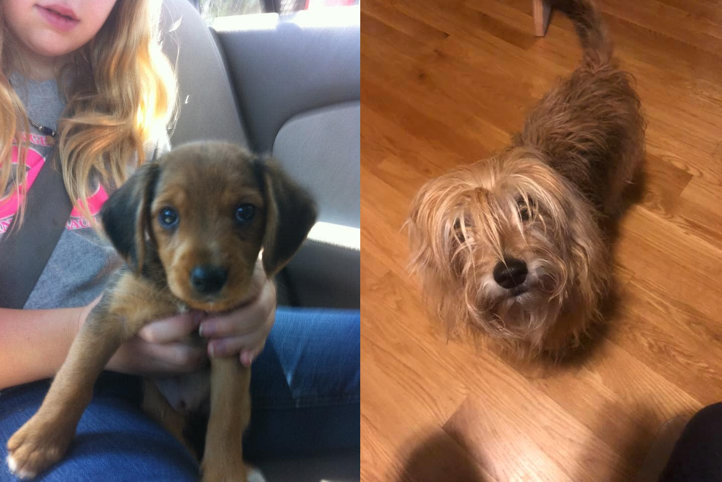 zoe.jpg