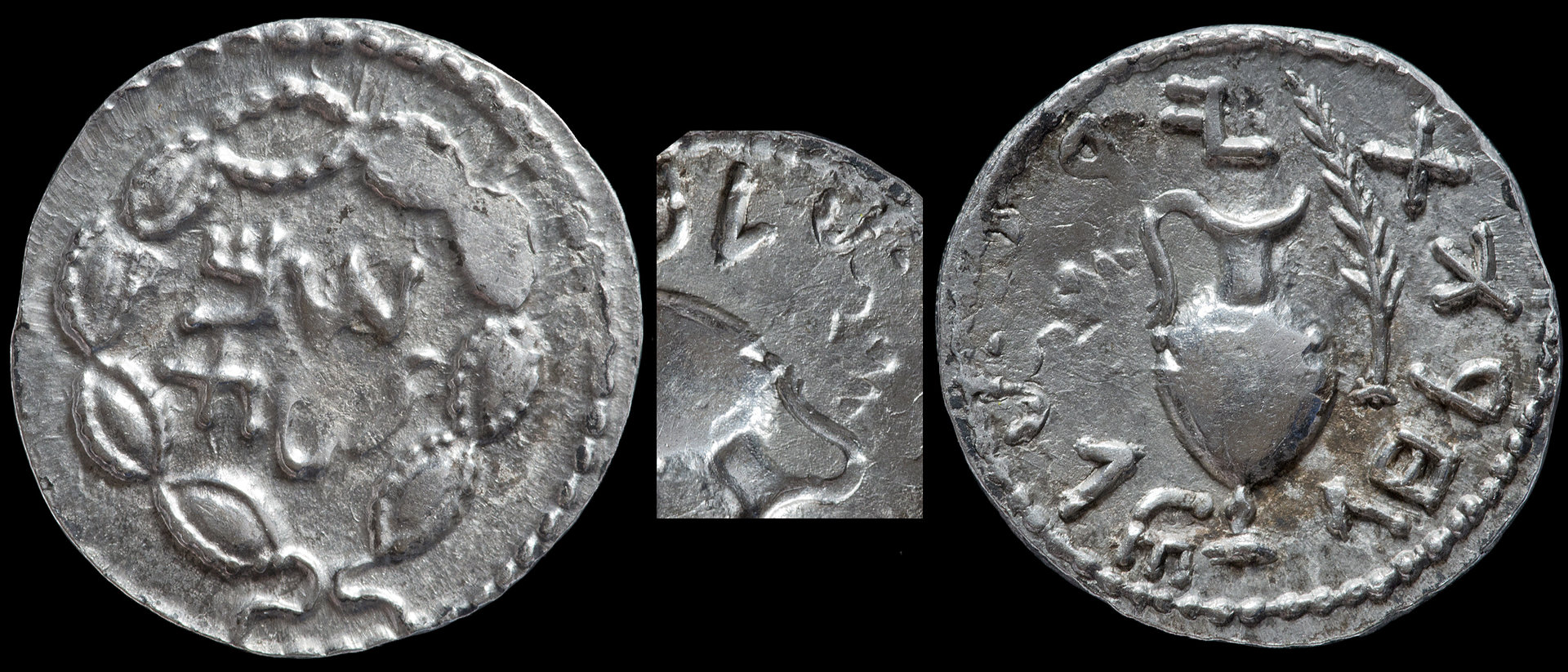 Zuz Domitian.jpg