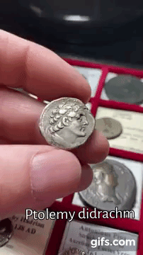 zv8JNm.gif
