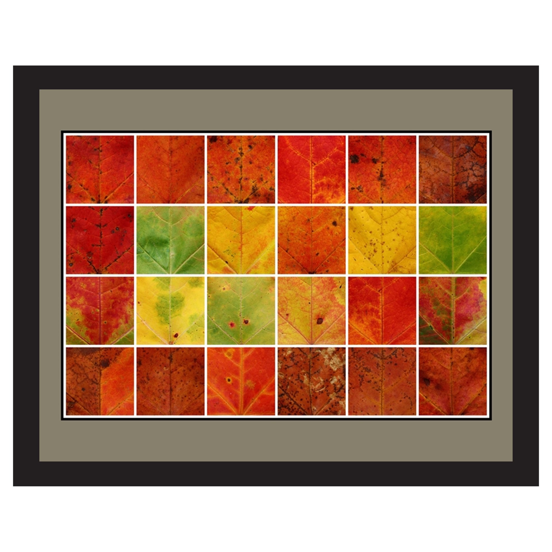zzz(11x14)framed.jpeg