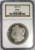 Copy of 1885 Proof Morgan Slab Obv.jpg