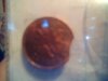 Snapshot_20110209.jpg