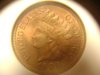 INDIAN MS64 RB resize.jpg