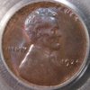 1924-D NGC O.JPG