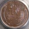 1924-D NGC R.JPG