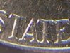 Nickel Palm T.jpg